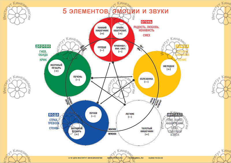 Центр 5 элементов